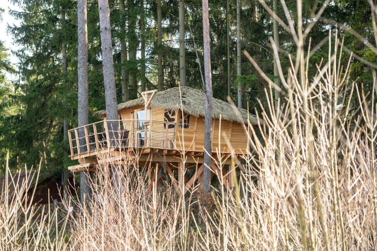 Treehouse U Rybnika Ξενοδοχείο Osecna Εξωτερικό φωτογραφία