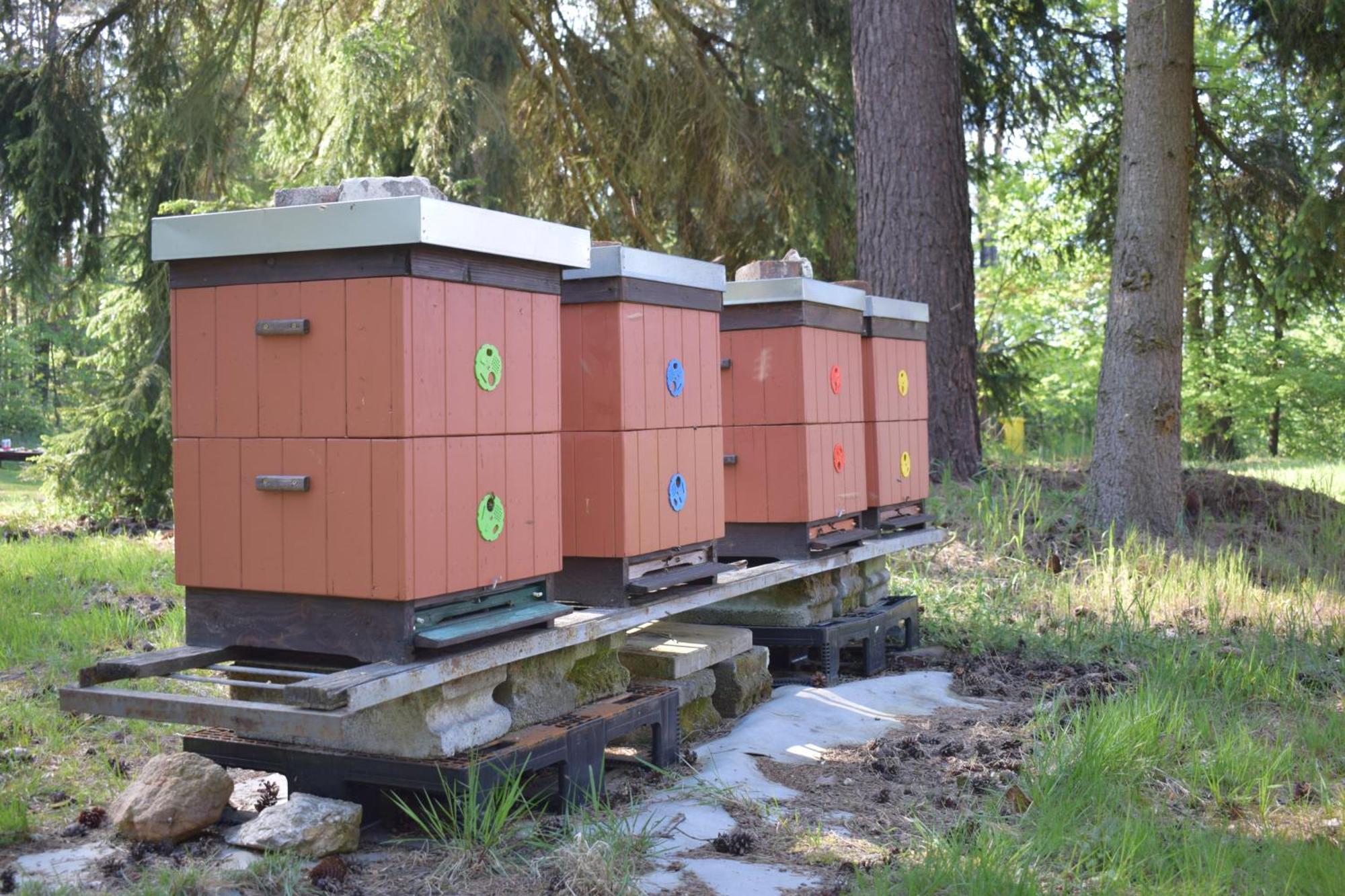 Treehouse U Rybnika Ξενοδοχείο Osecna Εξωτερικό φωτογραφία